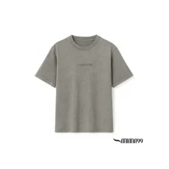 Camiseta gris lavado Tiger