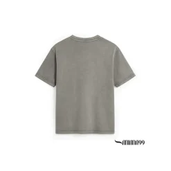 Camiseta gris lavado Tiger