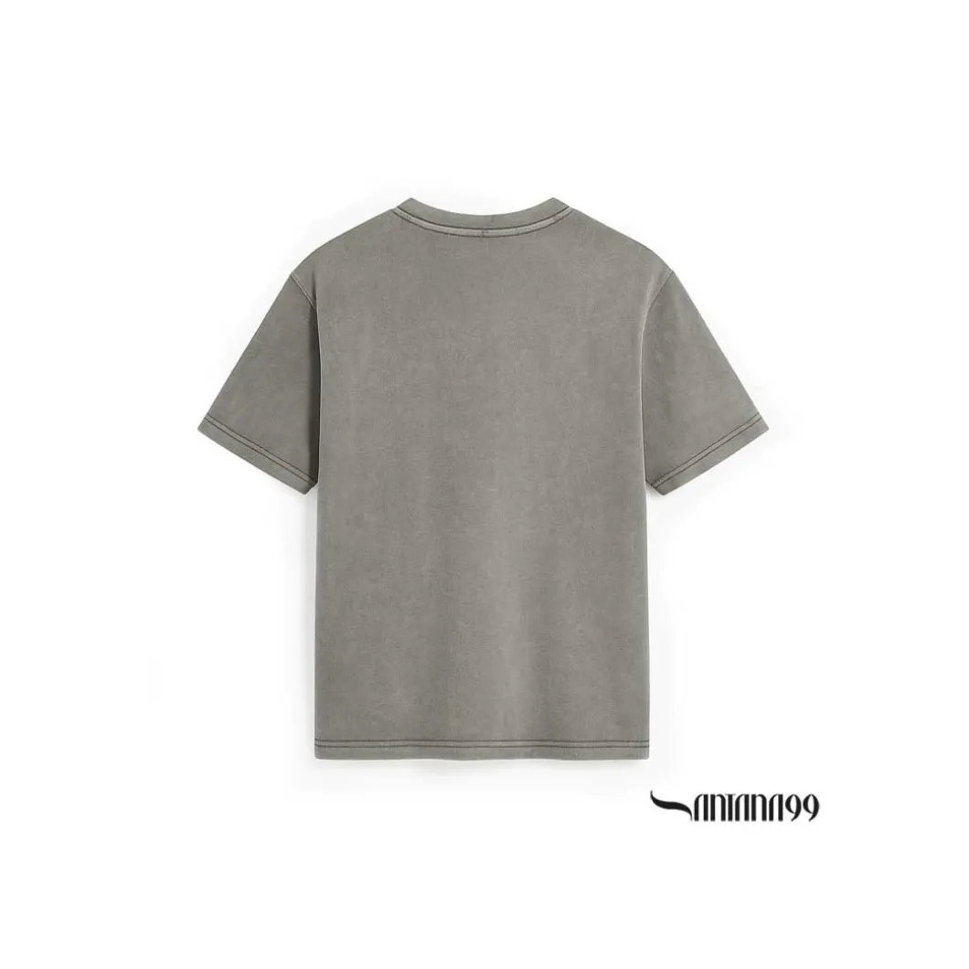 Camiseta gris lavado Tiger