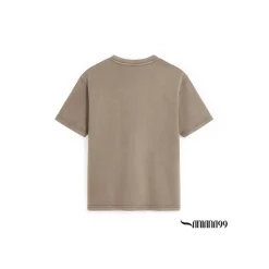 Camiseta taupe lavado Tiger
