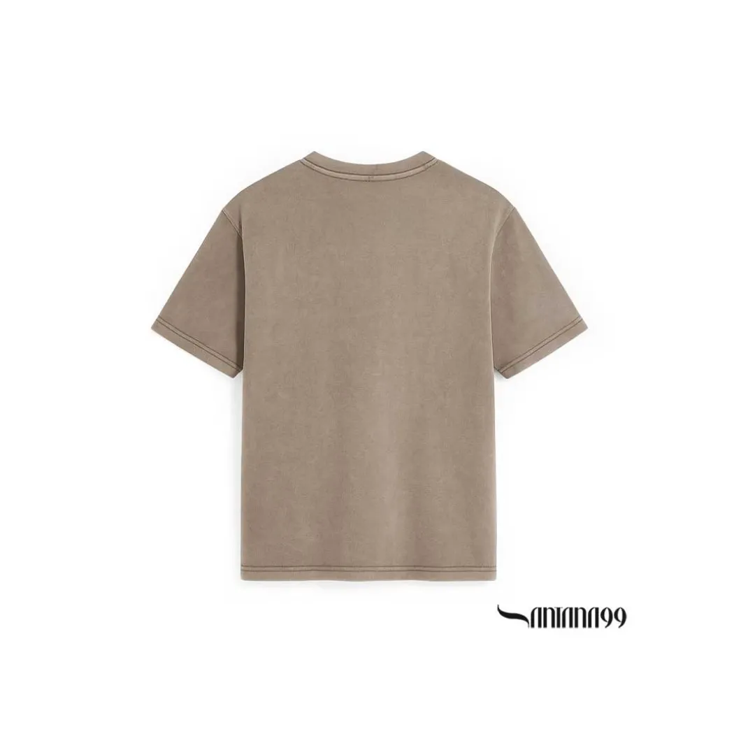 Camiseta taupe lavado Tiger