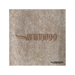 Camiseta taupe lavado Tiger