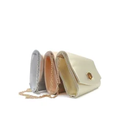 Cartera fiesta plata