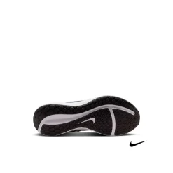 Nike Downshifter 13 FD6454-400